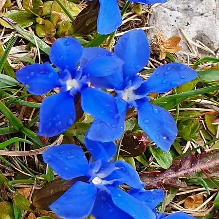 Bay View House Hébergement de vacances