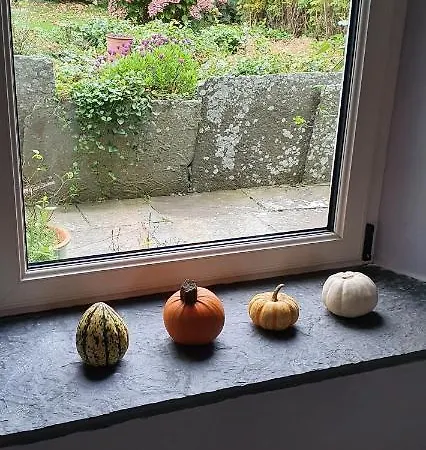 Дом отдыха Bay View House *