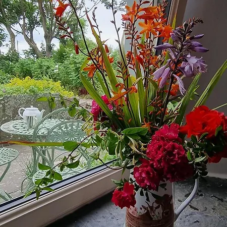 Дом отдыха Bay View House