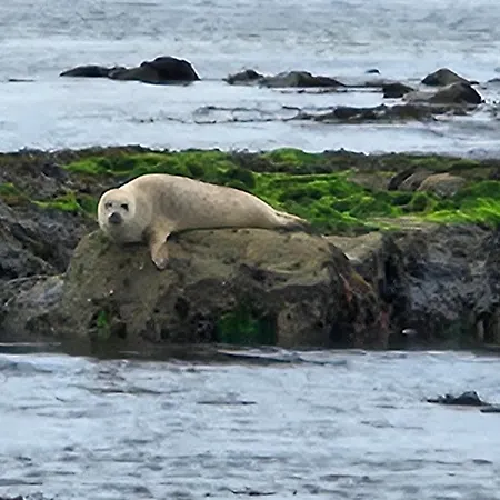 Casa de Férias Bay View House *