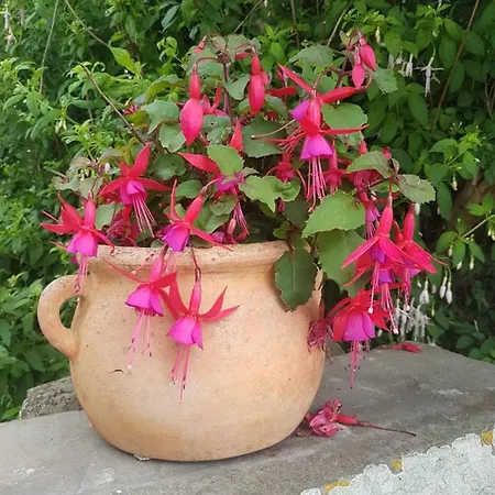 Bay View House Casa de Férias *