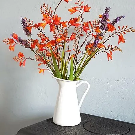 Дом отдыха Bay View House Лисканнор