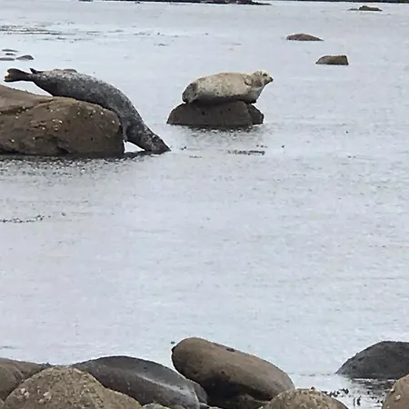 Bay View House Дом отдыха