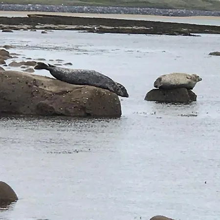 Bay View House Дом отдыха Лисканнор