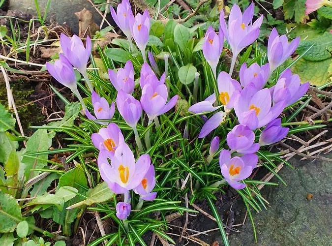 Bay View House Сasa de vacaciones Liscannor