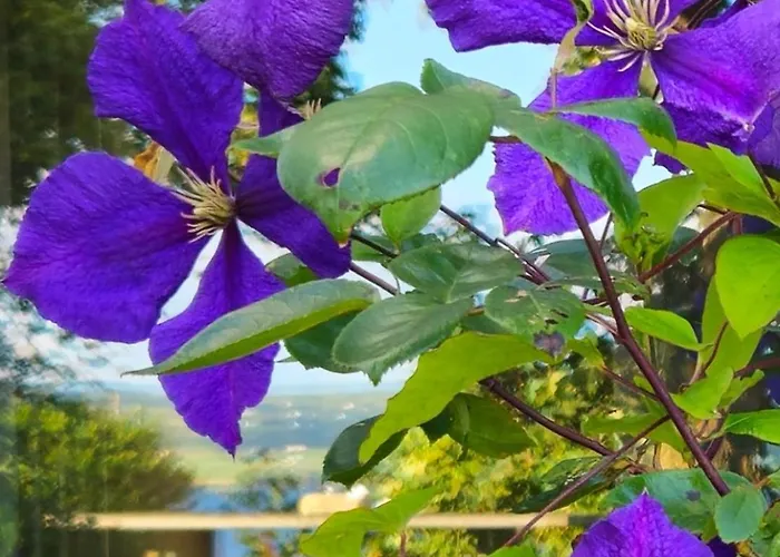 Сasa de vacaciones Bay View House