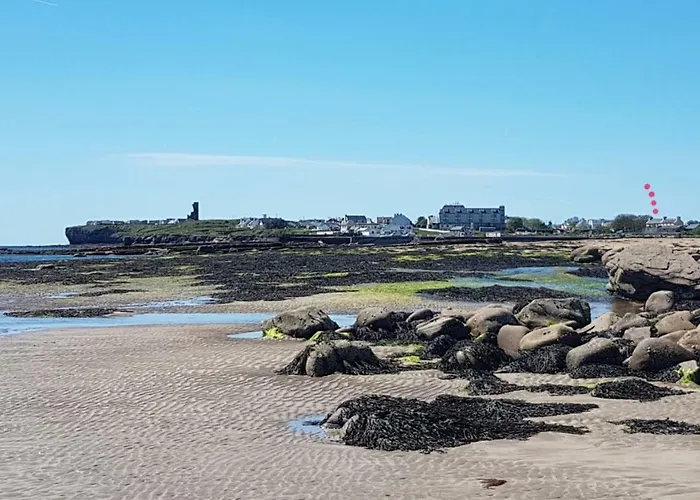 Bay View House * Liscannor