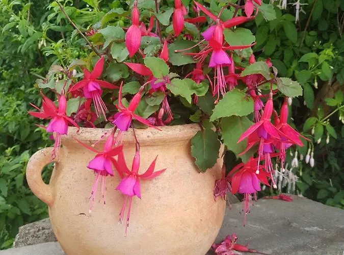 Bay View House Сasa de vacaciones *