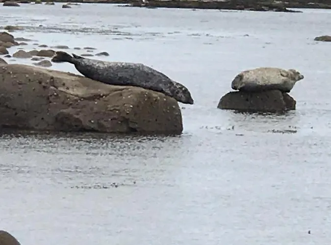 Bay View House Сasa de vacaciones Liscannor